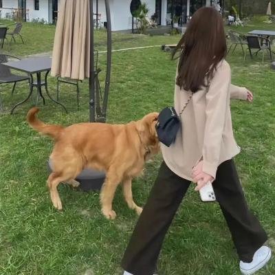 先天性淫娃